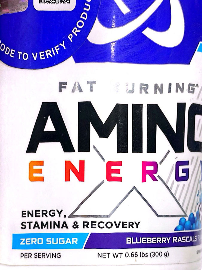 چربی-سوز-آمینو-ایکس-یو-اس-ان( چربی سوز آمینو ایکس یو اس ان (۳۰۰G) | USN Amino X Fat Burn