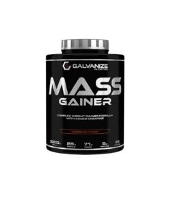 مس گینر گالوانایز (3000G) | galvanize Mass Gainer